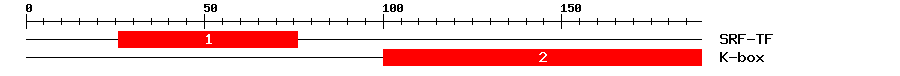 Signature Domain