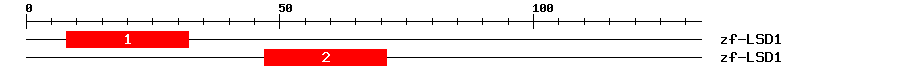 Signature Domain