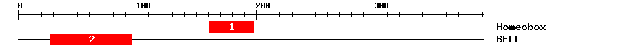 Signature Domain