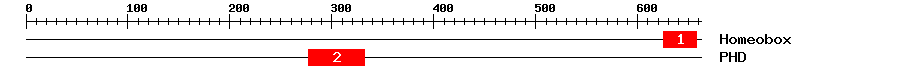 Signature Domain