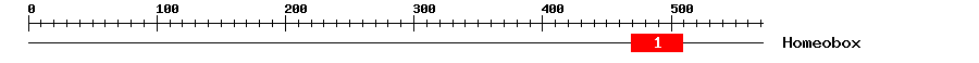 Signature Domain