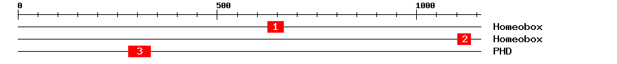 Signature Domain