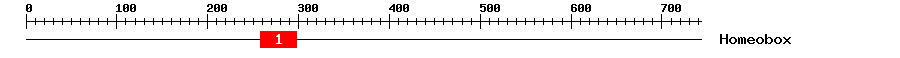 Signature Domain