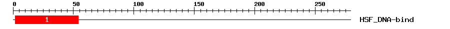 Signature Domain