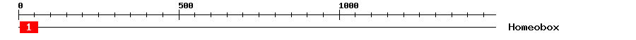 Signature Domain