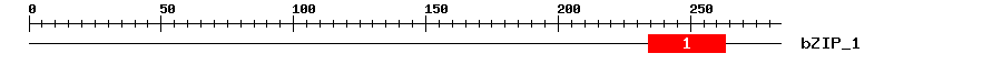 Signature Domain