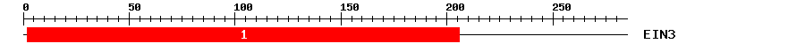 Signature Domain