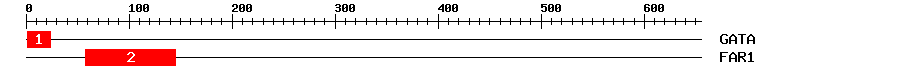 Signature Domain