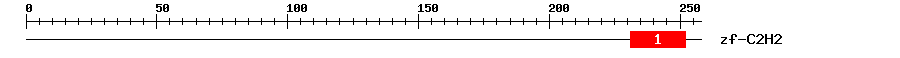 Signature Domain