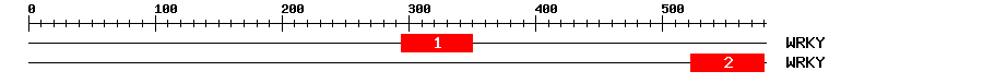 Signature Domain