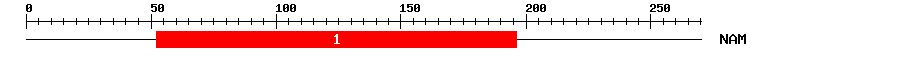 Signature Domain