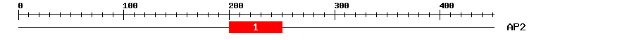 Signature Domain