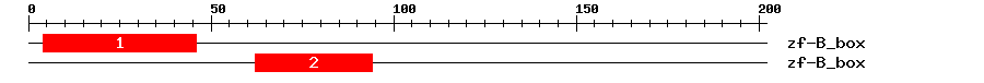 Signature Domain