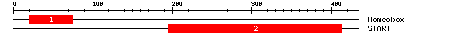 Signature Domain