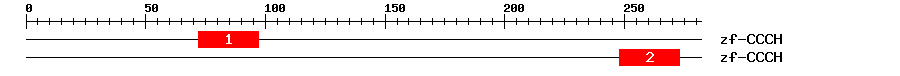 Signature Domain