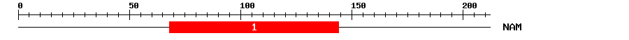 Signature Domain