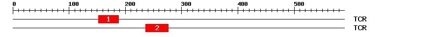 Signature Domain