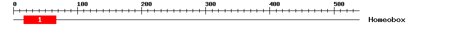 Signature Domain