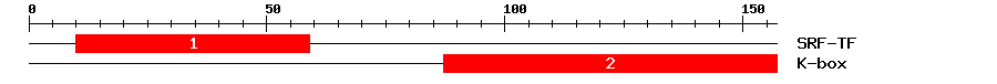 Signature Domain