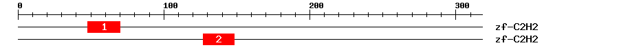 Signature Domain