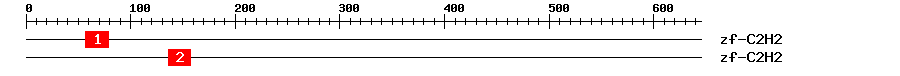 Signature Domain