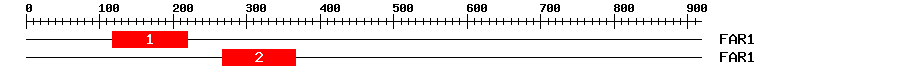 Signature Domain