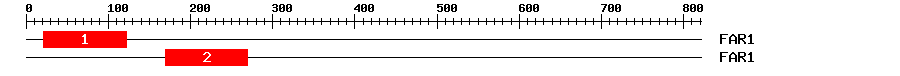 Signature Domain