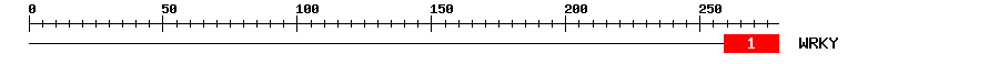Signature Domain