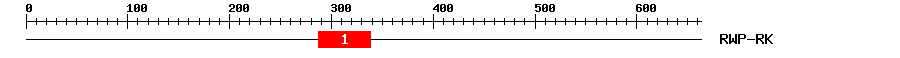 Signature Domain