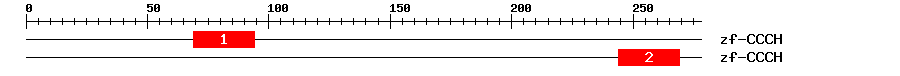 Signature Domain