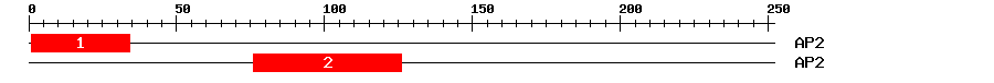 Signature Domain