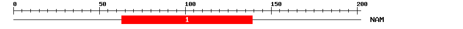Signature Domain