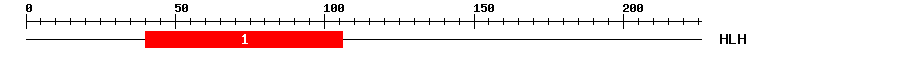 Signature Domain