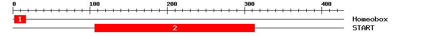 Signature Domain