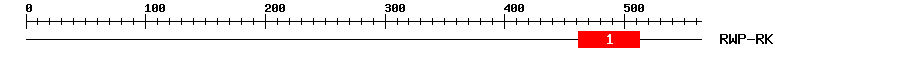 Signature Domain