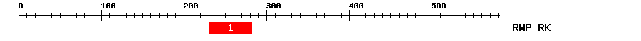 Signature Domain