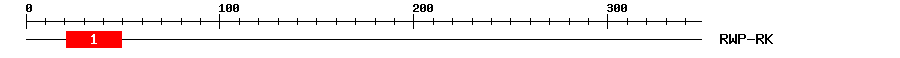 Signature Domain
