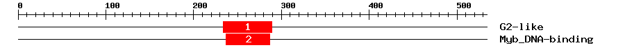 Signature Domain