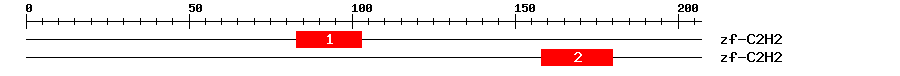 Signature Domain