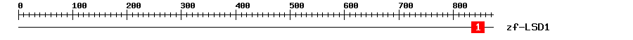 Signature Domain