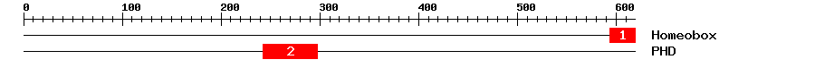 Signature Domain