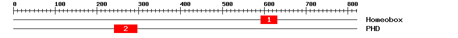 Signature Domain