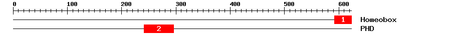 Signature Domain