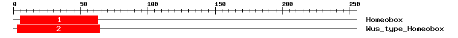 Signature Domain