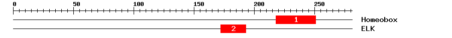 Signature Domain