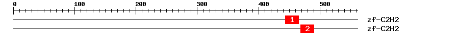 Signature Domain