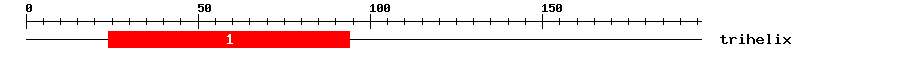 Signature Domain