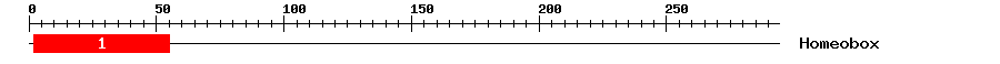 Signature Domain