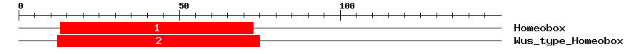 Signature Domain