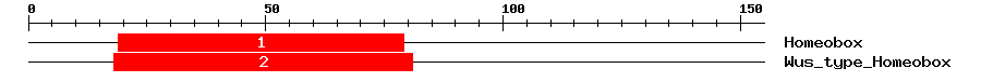 Signature Domain